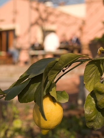 Agriturismo Etna